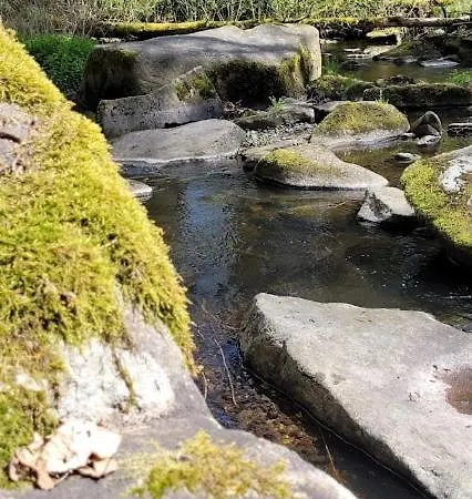 Tiny-hohenberg 아파트