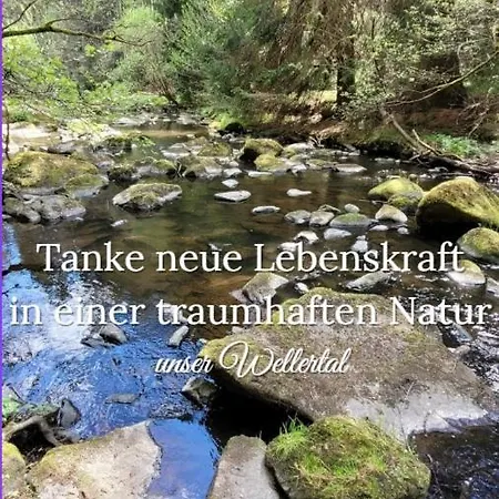 아파트 Tiny-hohenberg