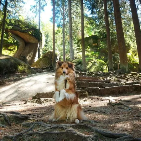 Tiny-hohenberg 아파트 *