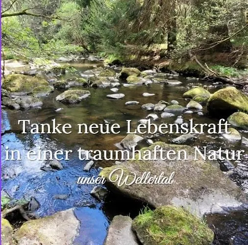 Lejlighed Tiny-hohenberg